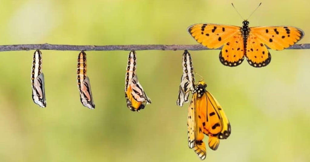 O segredo dos 7 ciclos da prosperidade de Deus