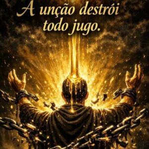  Foto de perfil de Joilson Negreiro 