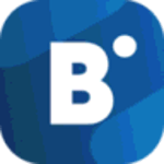 Bidvertiser Logo