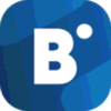 Bidvertiser Logo