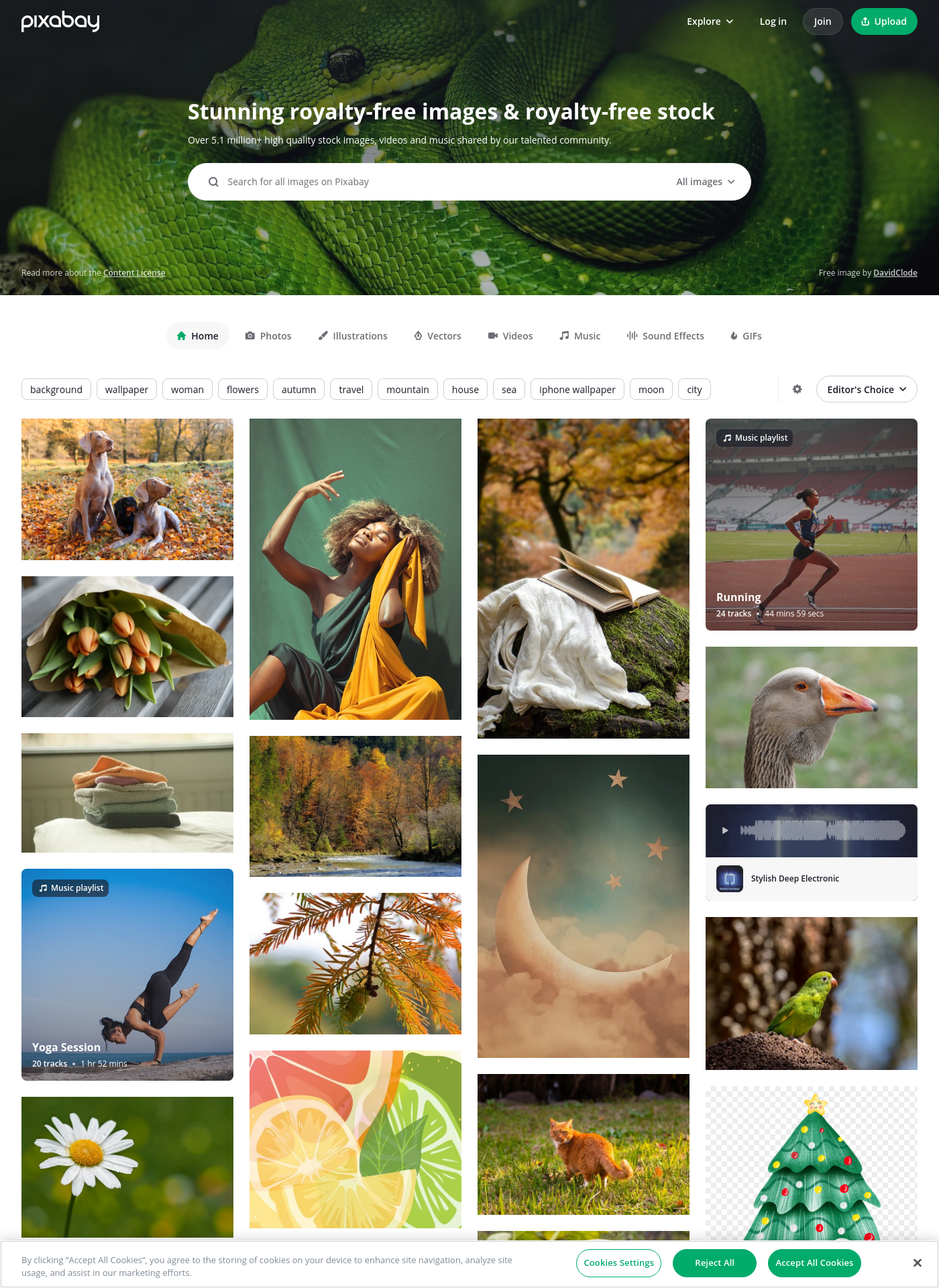 Cover for Pixabay