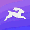 Directus Logo