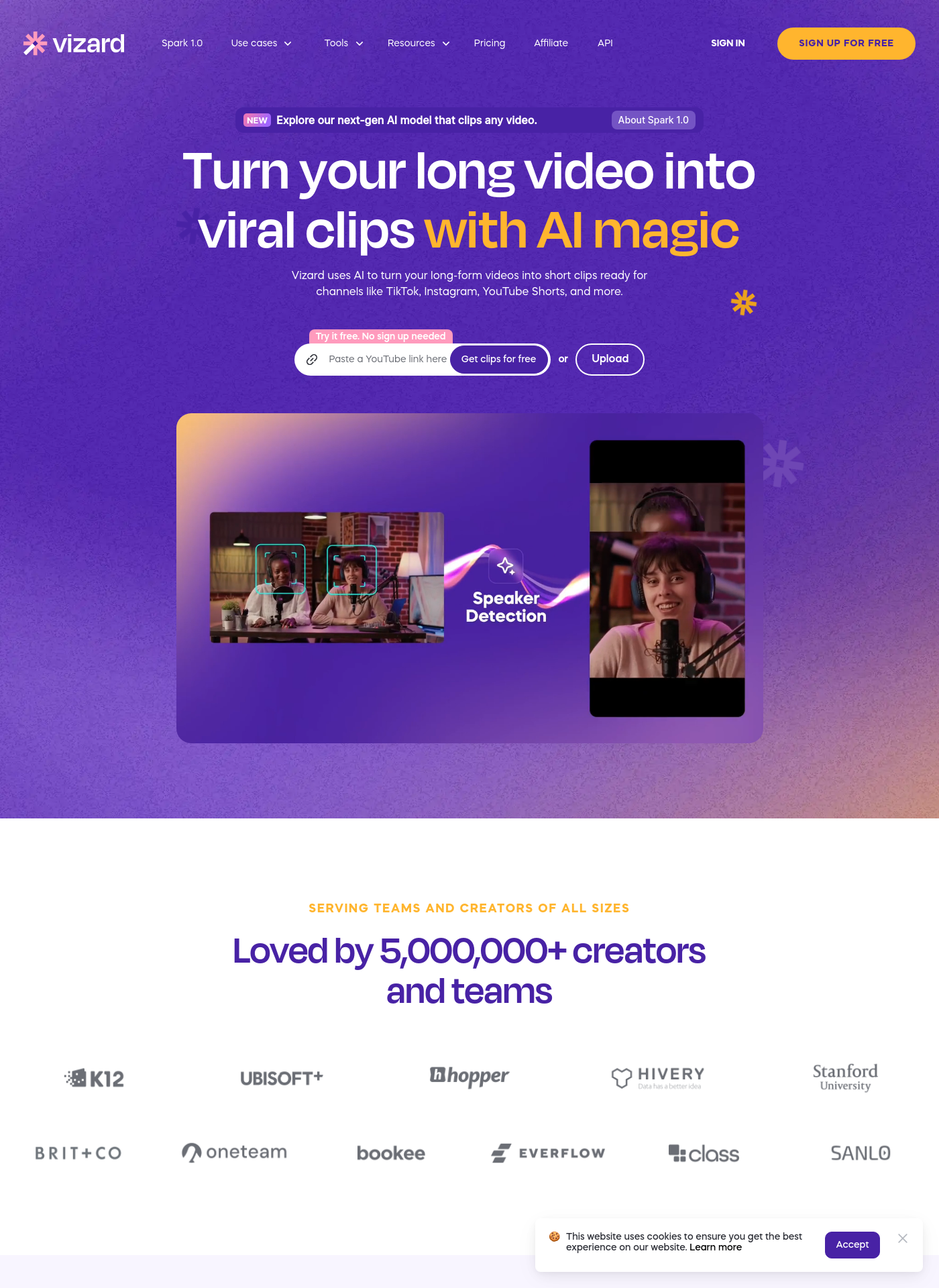 Cover for Vizard