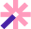 Vizard Logo