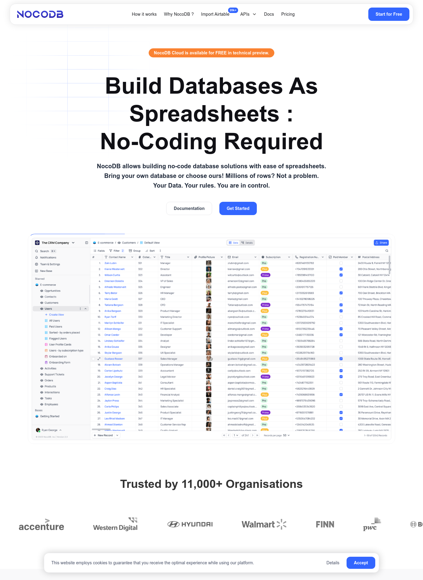 Cover for NocoDB