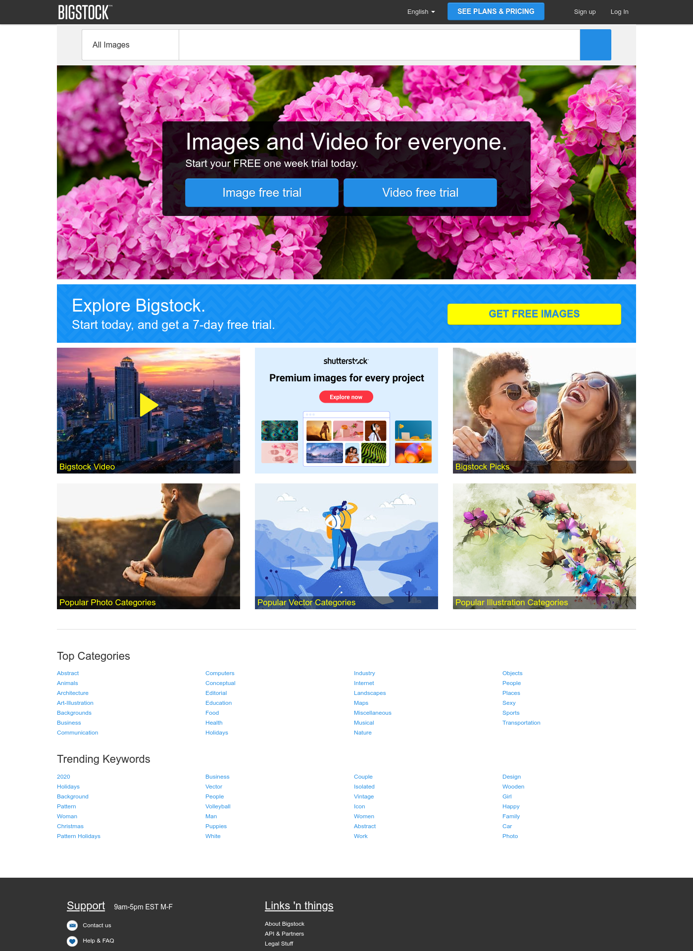 Cover for Bigstock