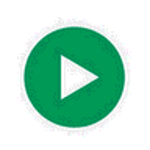 Play.ht Logo