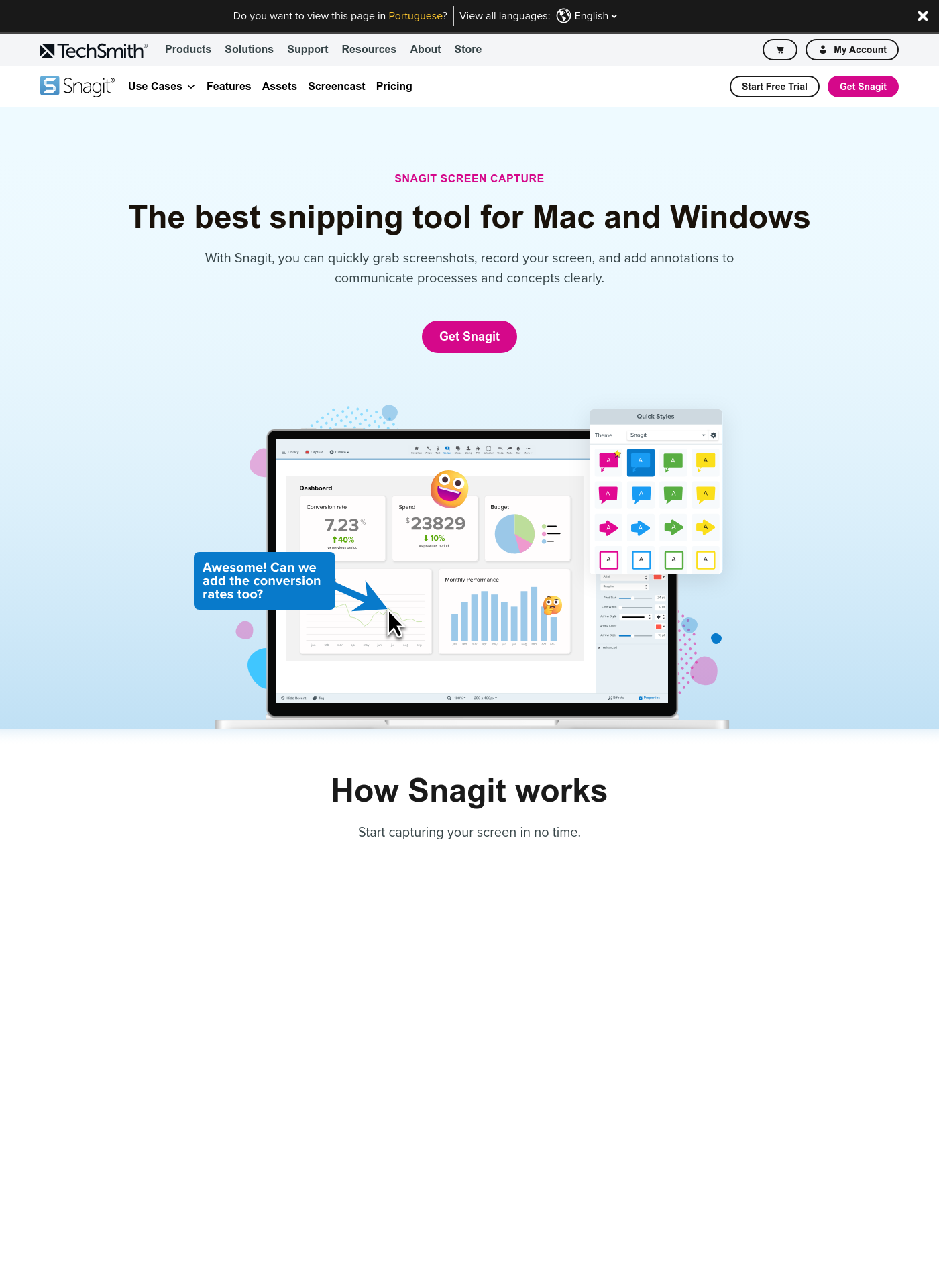 Cover for Snagit