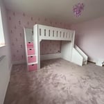 Loft Bed With Slide