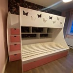 kids bed with shelving
