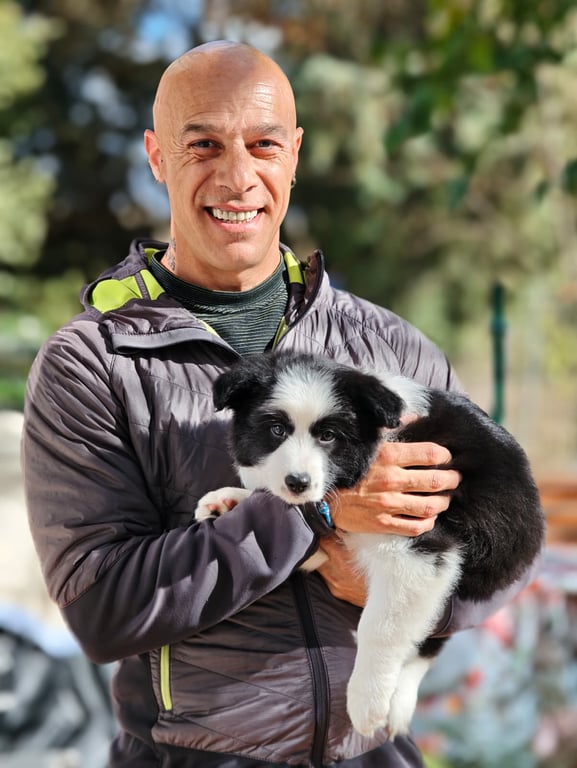 Enric