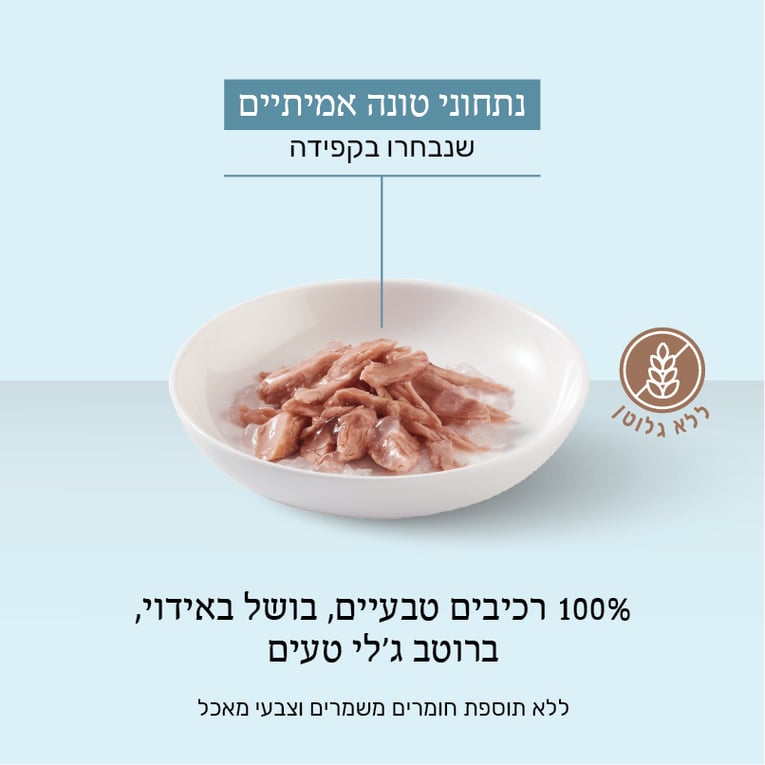 מעדן שזיר לחתולים טונה בג'לי 85 גר'