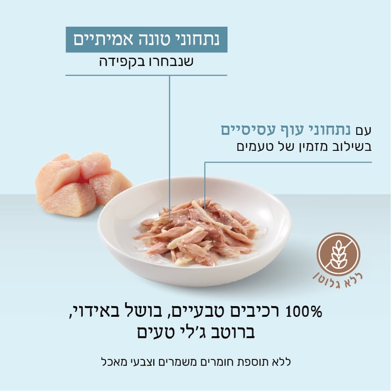 מעדן שזיר לחתולים טונה עם עוף בג'לי 85 גר'