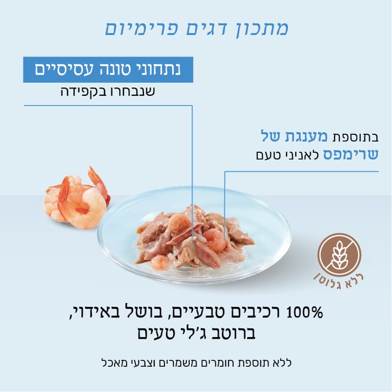 מעדן שזיר לחתולים טונה עם שרימפס (חסילונים) בג'לי 85 גר'