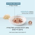 מעדן שזיר לחתולים טונה עם דגיגים לבנים בג'לי 85 גר'