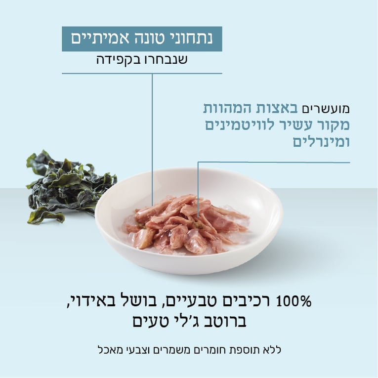 מעדן שזיר לחתולים טונה עם אצות בג'לי 85 גר'