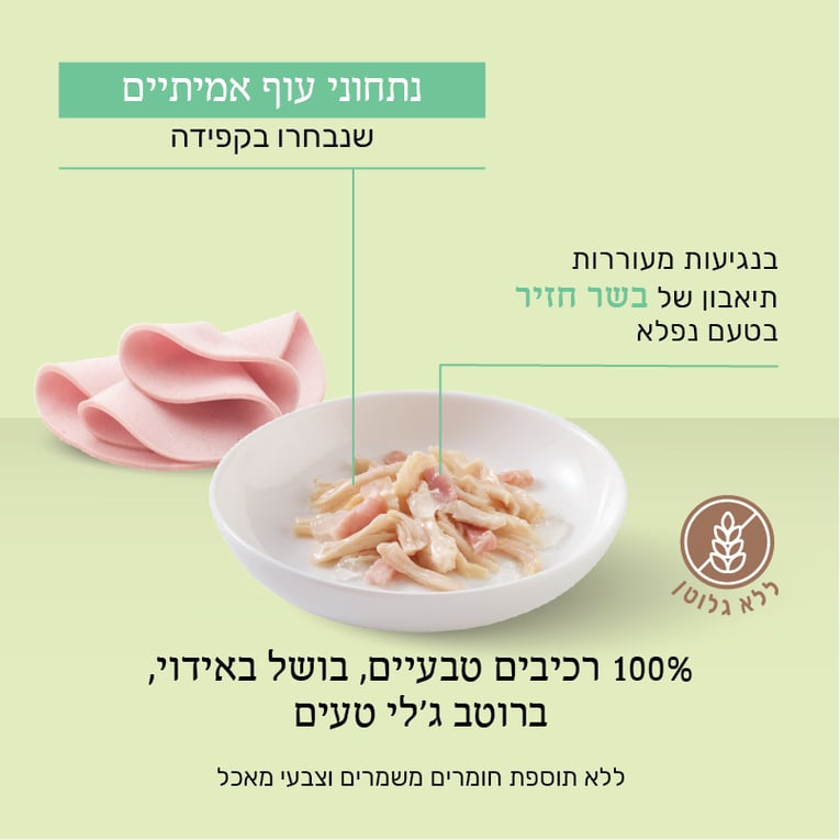 מעדן שזיר לחתולים עוף עם בשר חזיר בג'לי 85 גר'