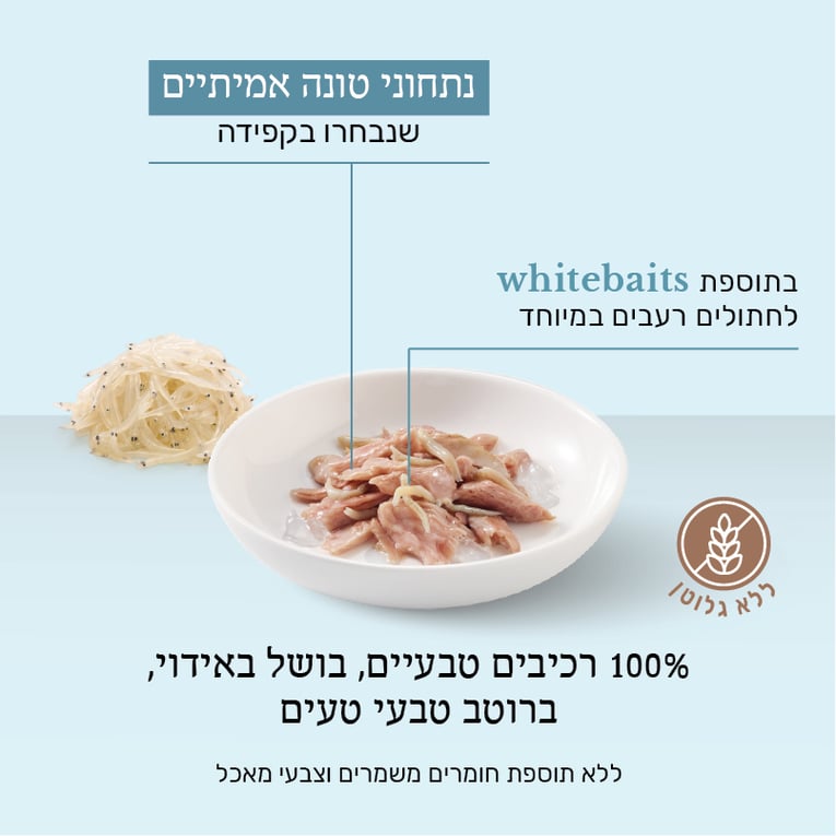 מעדן שזיר לחתולים טונה עם דגיגים לבנים במי בישול 85 גר'