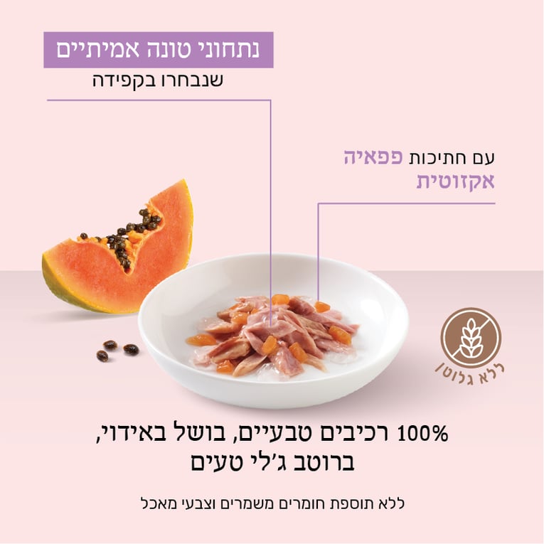 מעדן שזיר לחתולים טונה עם פפאיה בג'לי 75 גר'