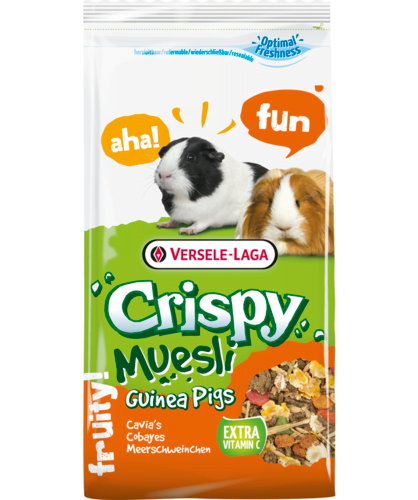 ורסלה לגה שרקן - Guinea pigs