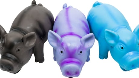 בובת לטקס חזיר מצפצף