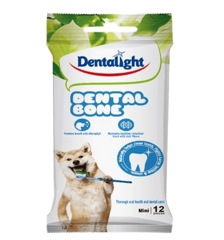 דנטל לייט עצמות דנטליות 12 חתיכות- Dentalight-Dental Bone
