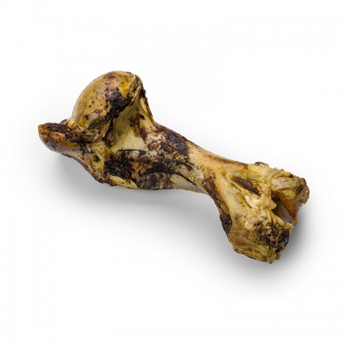 עצם בקר צלויה טבעית - גדולה מאוד עצם בקר צלויה טבעית - גדולה מאוד