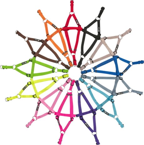 ריתמה לכלב במגוון צבעים וגדלים