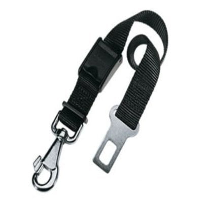 רצועת בטיחות לרכב