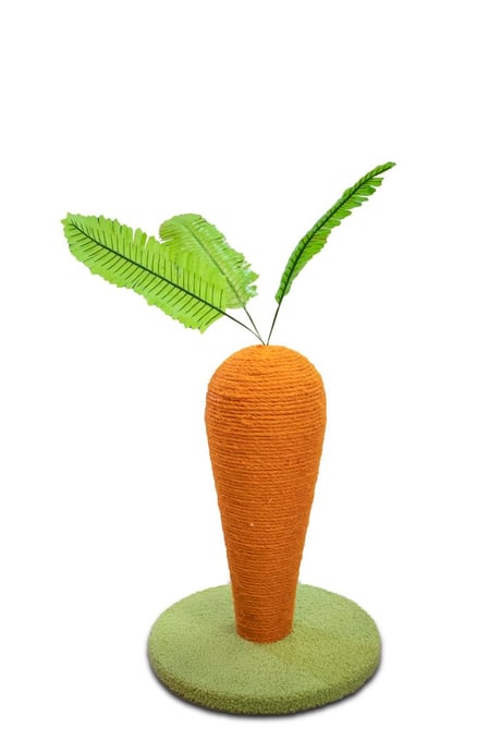 עמוד גירוד גזר CK19