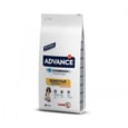אדוונס בוגר סלמון 12 ק"ג - Advance Salmon