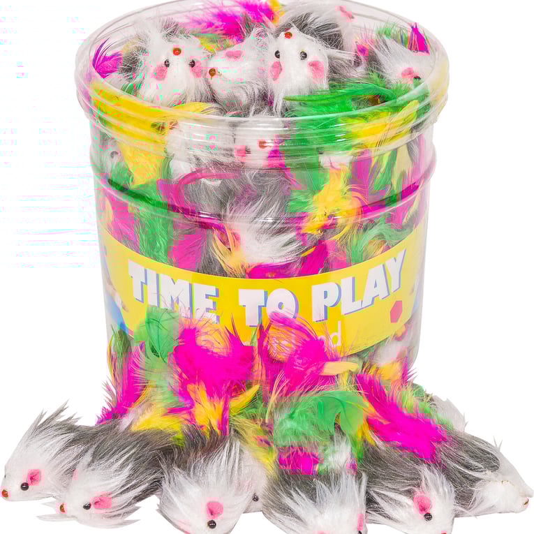 עכבר קטן עם נוצה