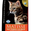 מאטיס חתול מסורס סלמון 1.5 ק"ג - Matisse Neutered Cat Salmon