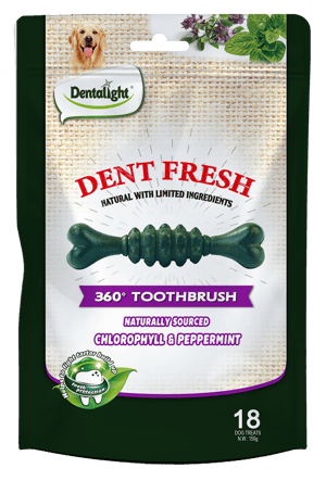 דנט פרש חטיף דנטלי מועשר בכלורופיל ומנטה- Dent Fresh Chlorophyll&Peppermint