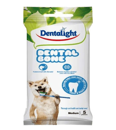 דנטל לייט עצמות דנטליות 5 חתיכות- Dentalight-Dental Bone