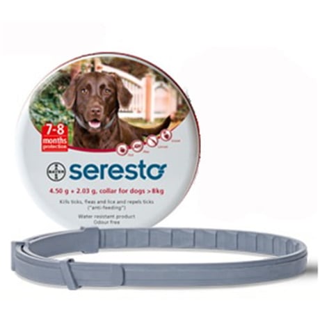 קולר סרסטו לכלב ששוקל מעל 8 ק"ג- Seresto Collar over 8 kg
