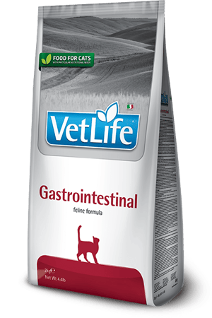 וט לייף גסטרו אינטסטינל לחתול 2 ק"ג-Vet Life Gastrointestinal Cat
