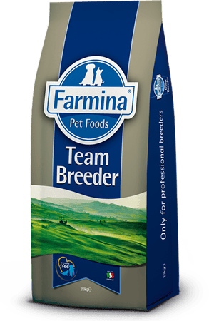 טים ברידר דגים 20 ק"ג - Team Breeder Fish and rice