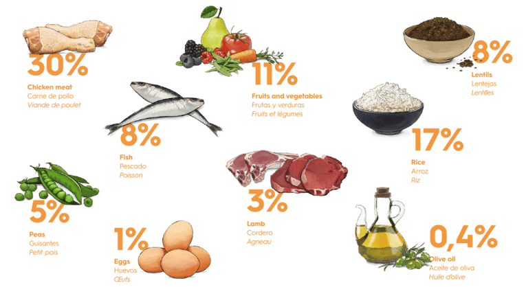 גוסבי אקסלוסיב סניור מדיום 12 ק"ג-Gosbi Exclusive Senior Medium