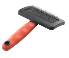 מברשת או מסרק כלבים