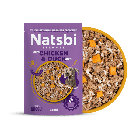 נטסבי ברווז