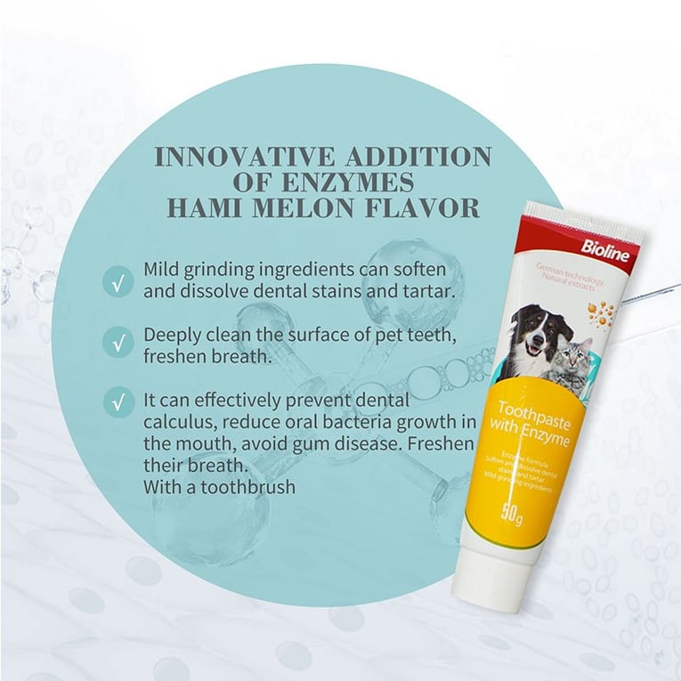 ביוליין משחה אנזימטית 50 גרם + מברשת - Toothpaste with Enzyme