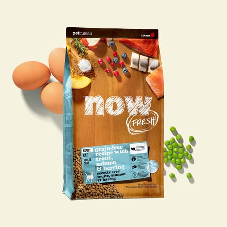 נאו פרש חתול בוגר דגים 3.63 ק"ג - now fresh adult fish