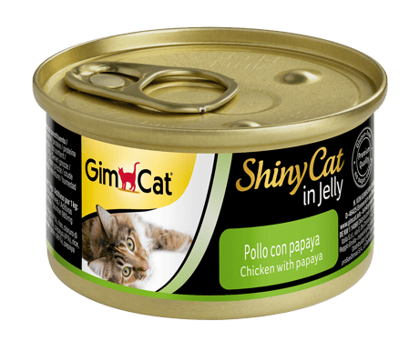 שימור שייני קט עם עוף ופפאיה