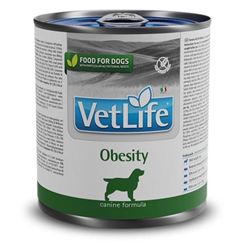 וט לייף שימור אובסיטי כלב 300 גרם - Vet life obesity