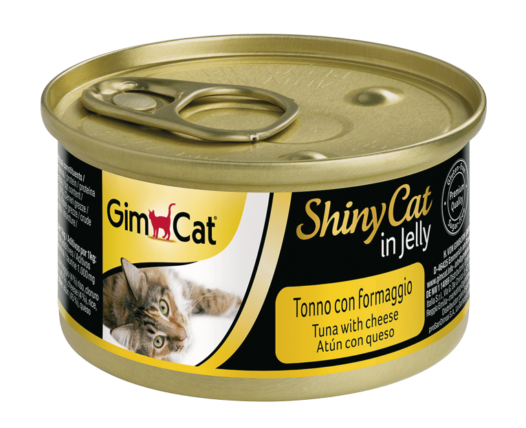 10 יח' שימור שייני קט טונה עם גבינה 70 גרם