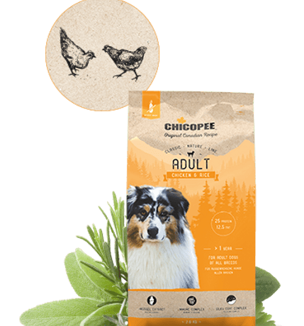 צ'יקופי בוגר עוף ואורז 15 ק"ג - Adult chicken and rice