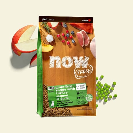 נאו פרש לגורי חתולים 3.63 ק"ג - now fresh kitten