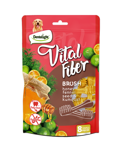 Vital Fiber חטיף דנטלי בצורת מברשת שיניים בטעם דבש זרעי שומר ותפוז 80 גרם