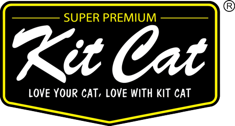 KIT KAT LOGO